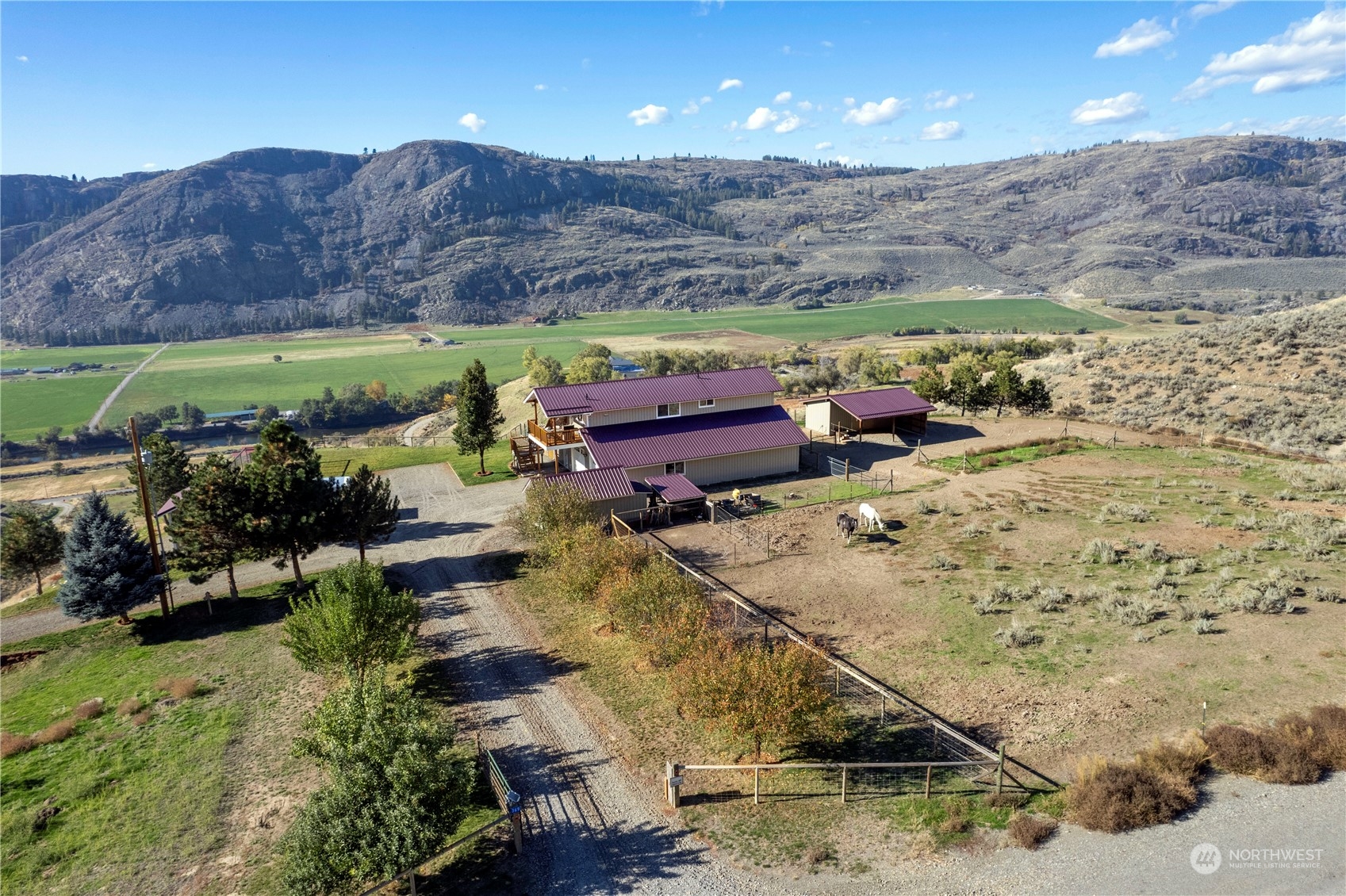 369 Tunk Creek Road Riverside, WA 98849 - Photo 4 of 40 a view of a backyard with mountain view
