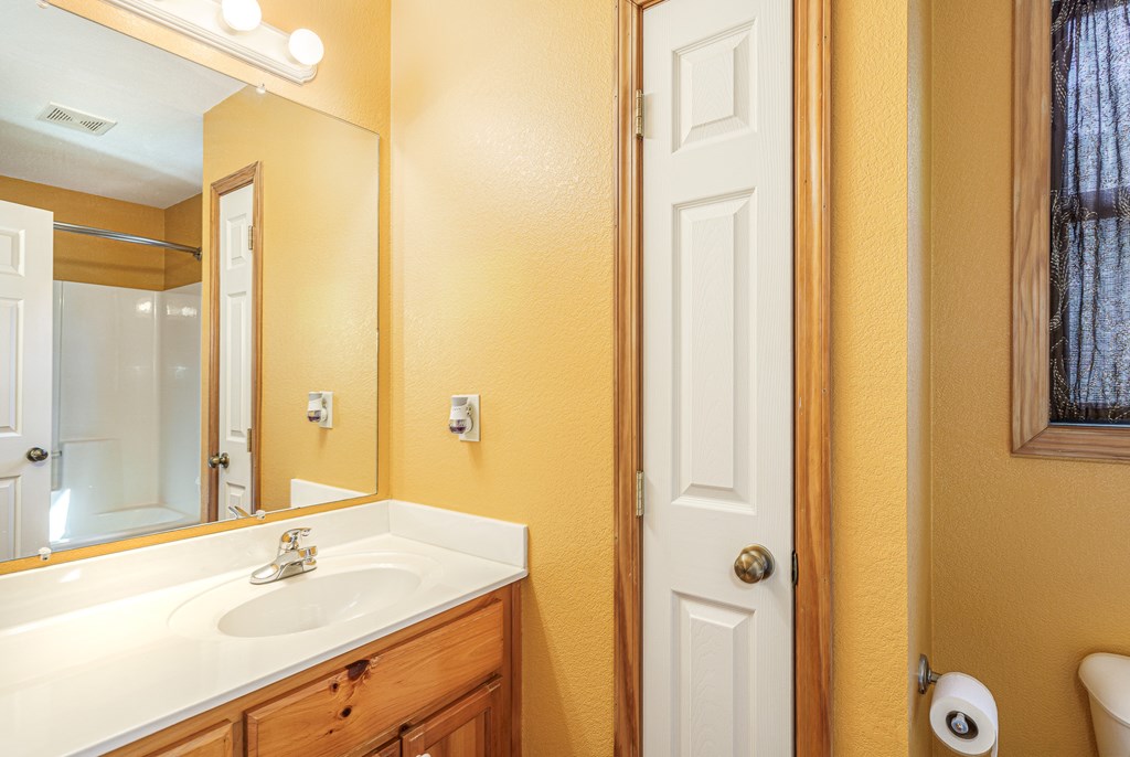 41 Carvers Vw Trail Murphy, NC 28906 - Photo 23 of 46 a bathroom with a sink and a mirror