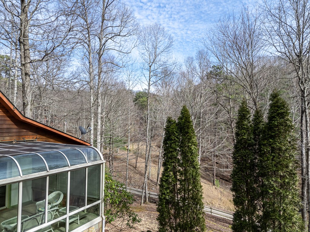 41 Carvers Vw Trail Murphy, NC 28906 - Photo 36 of 46