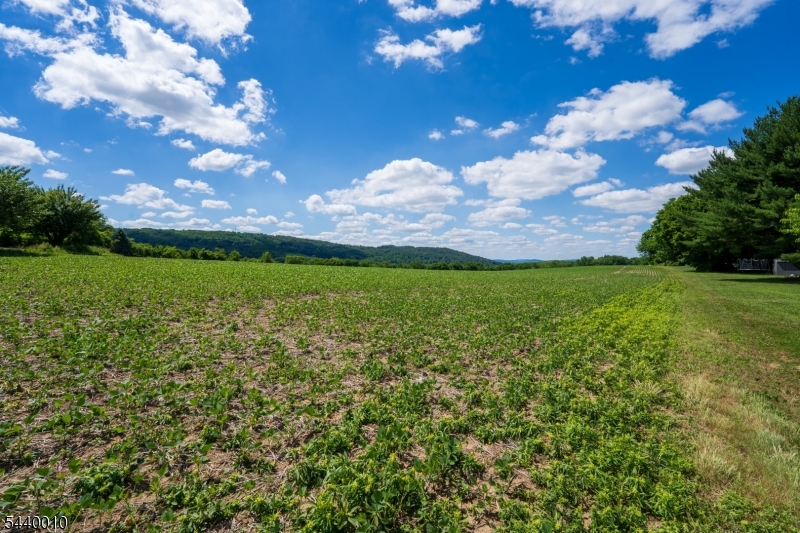 310 Ridge Road Harmony, NJ 08865 - Photo 14 of 50