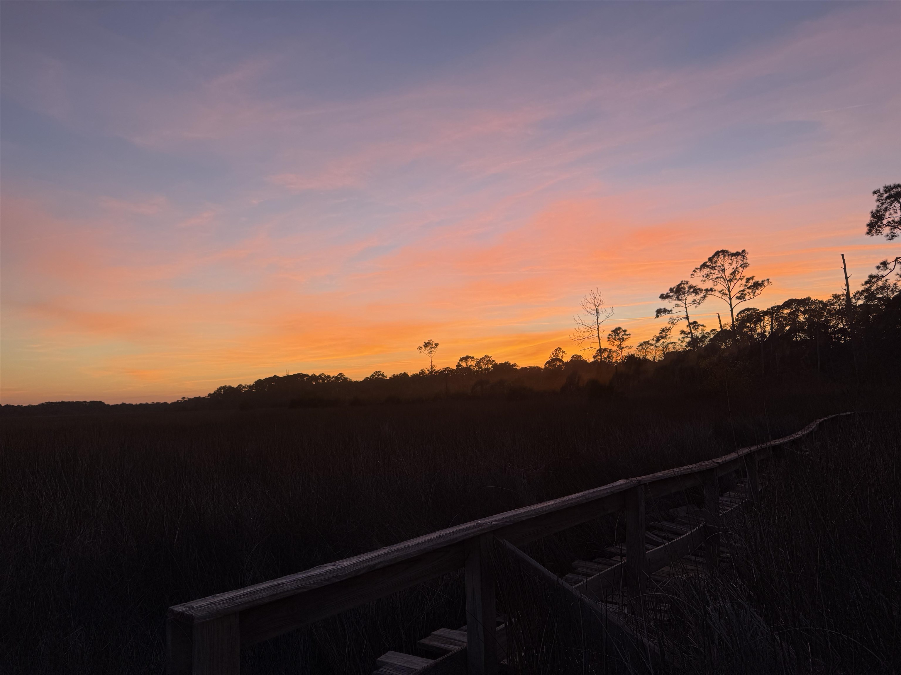 825 Faver Dykes Road St. Augustine, FL 32086 - Photo 79 of 82