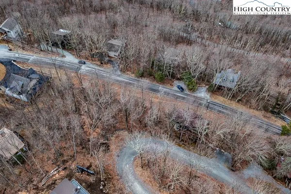a view of a yard with large trees