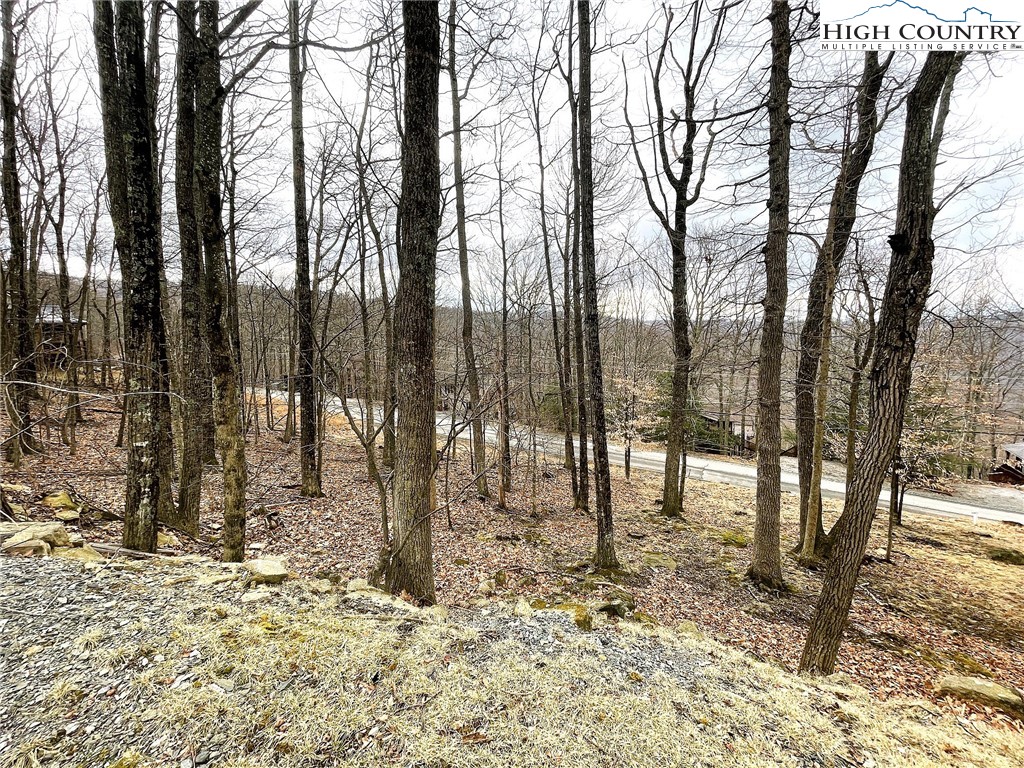 131 Club House Road Beech Mountain, NC 28604 - Photo 3 of 14 a view of outdoor space with lots of trees