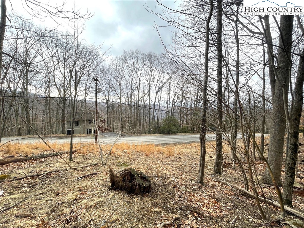 131 Club House Road Beech Mountain, NC 28604 - Photo 6 of 14 a backyard of a house with lots of green space
