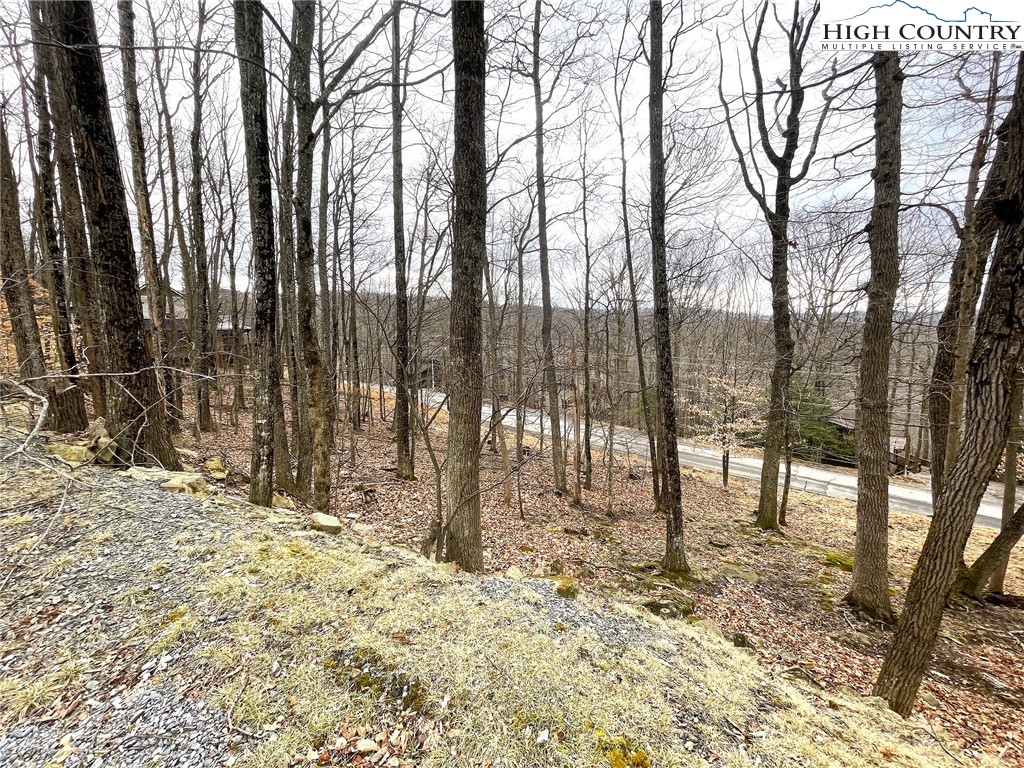 131 Club House Road Beech Mountain, NC 28604 - Photo 7 of 14 a backyard of a house with lots of green space