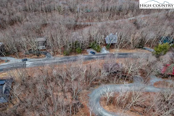 a view of a dry yard with trees
