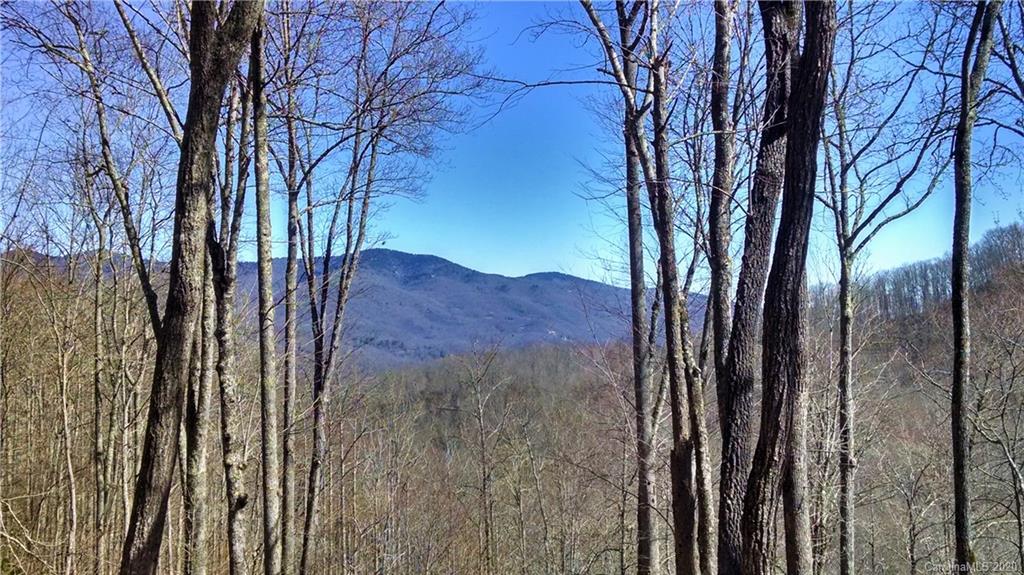 37 High Line Road Sylva, NC 28779 - Photo 1 of 5 a view of a backyard with large trees