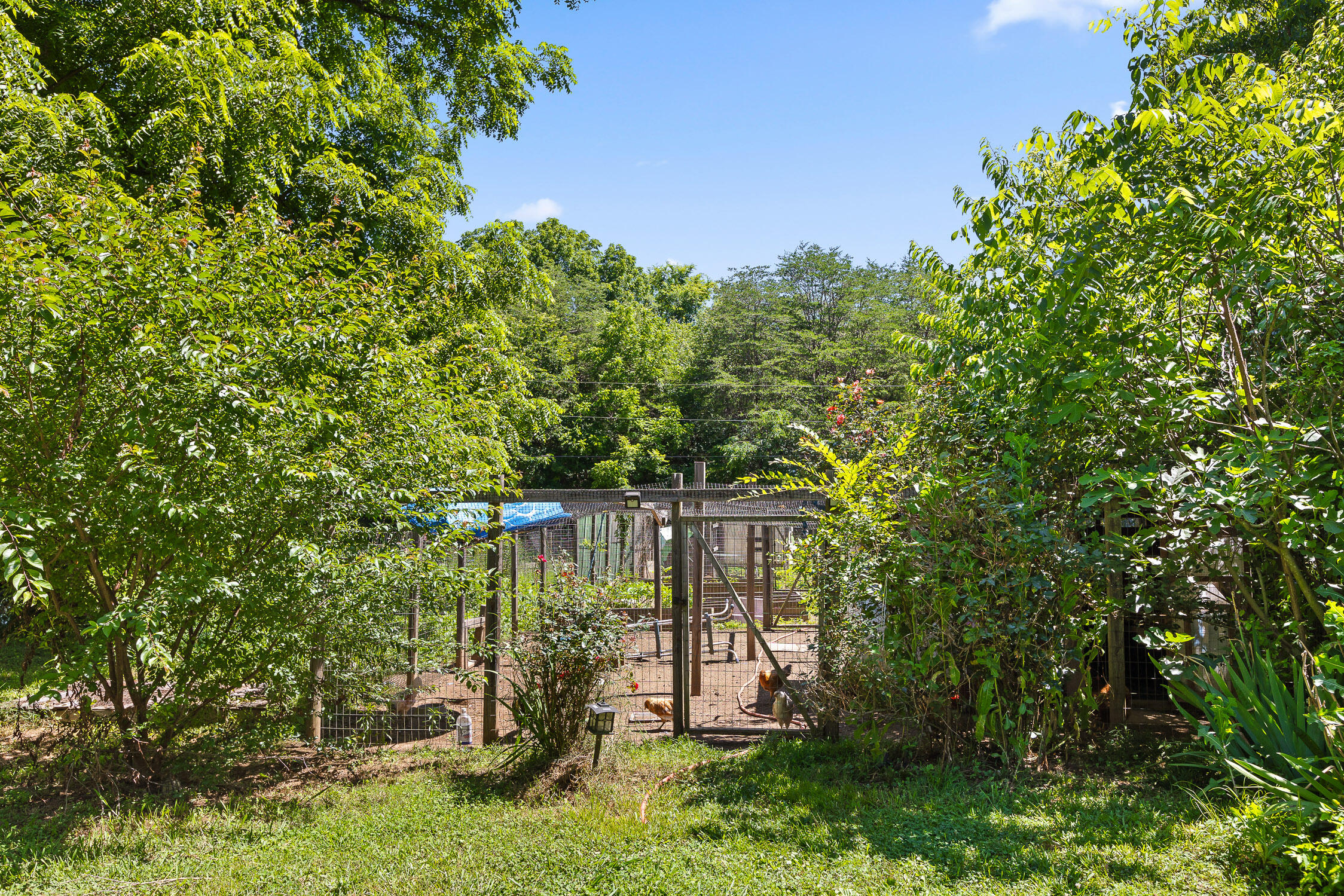 201 Buck Drive Chickamauga, GA 30707 - Photo 24 of 40 Buck-24