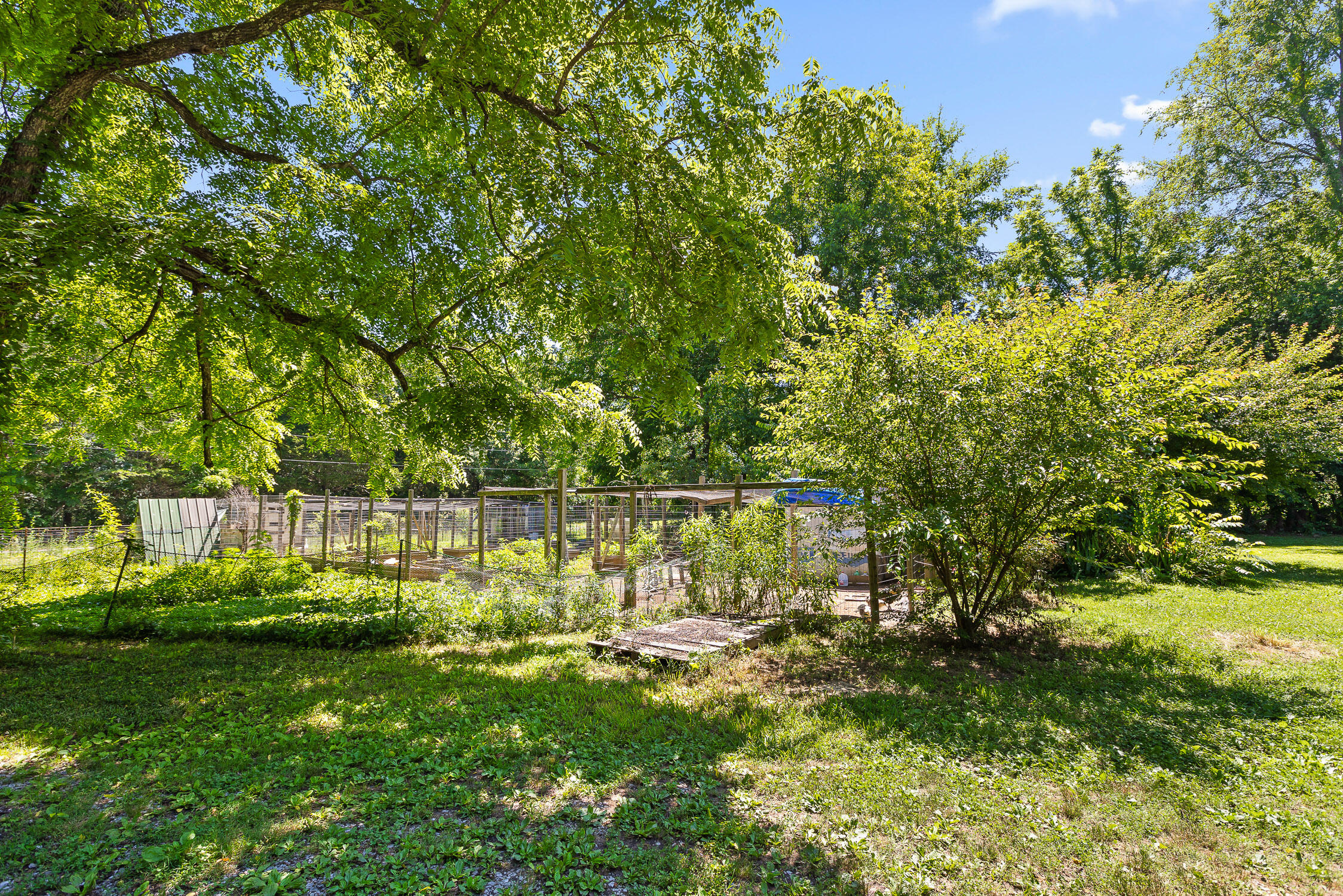 201 Buck Drive Chickamauga, GA 30707 - Photo 25 of 40 Buck-25