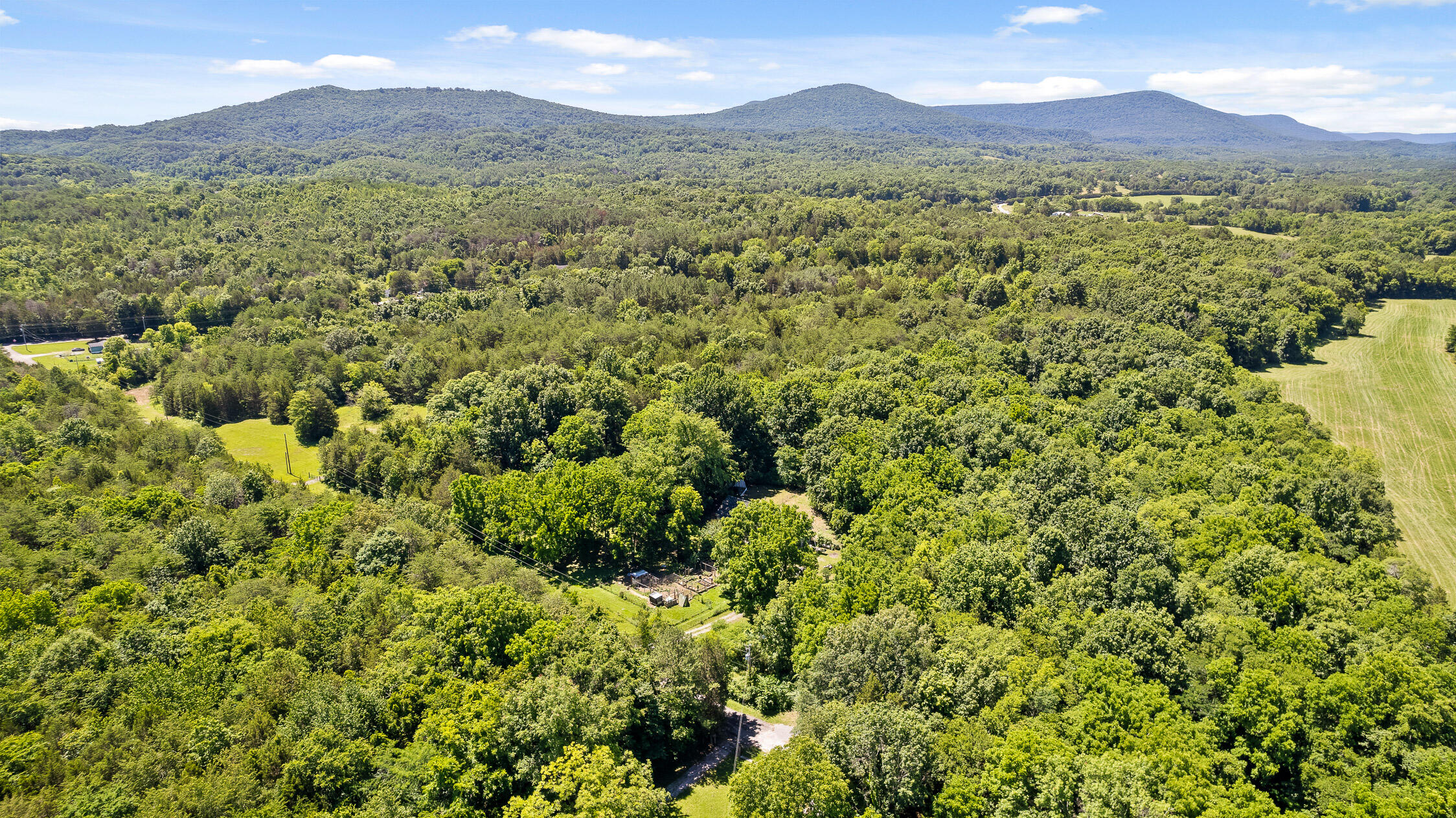 201 Buck Drive Chickamauga, GA 30707 - Photo 31 of 40 Buck-31