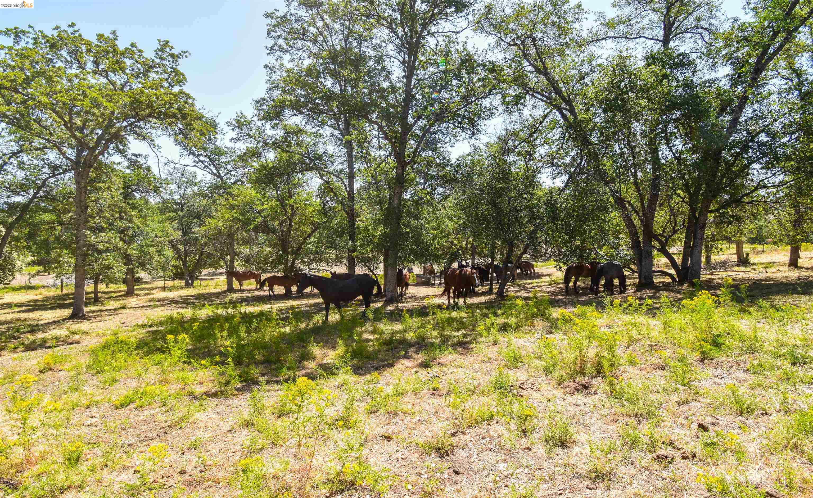 45-ac Powell Ranch Road Sonora, CA 95370 - Photo 15 of 20