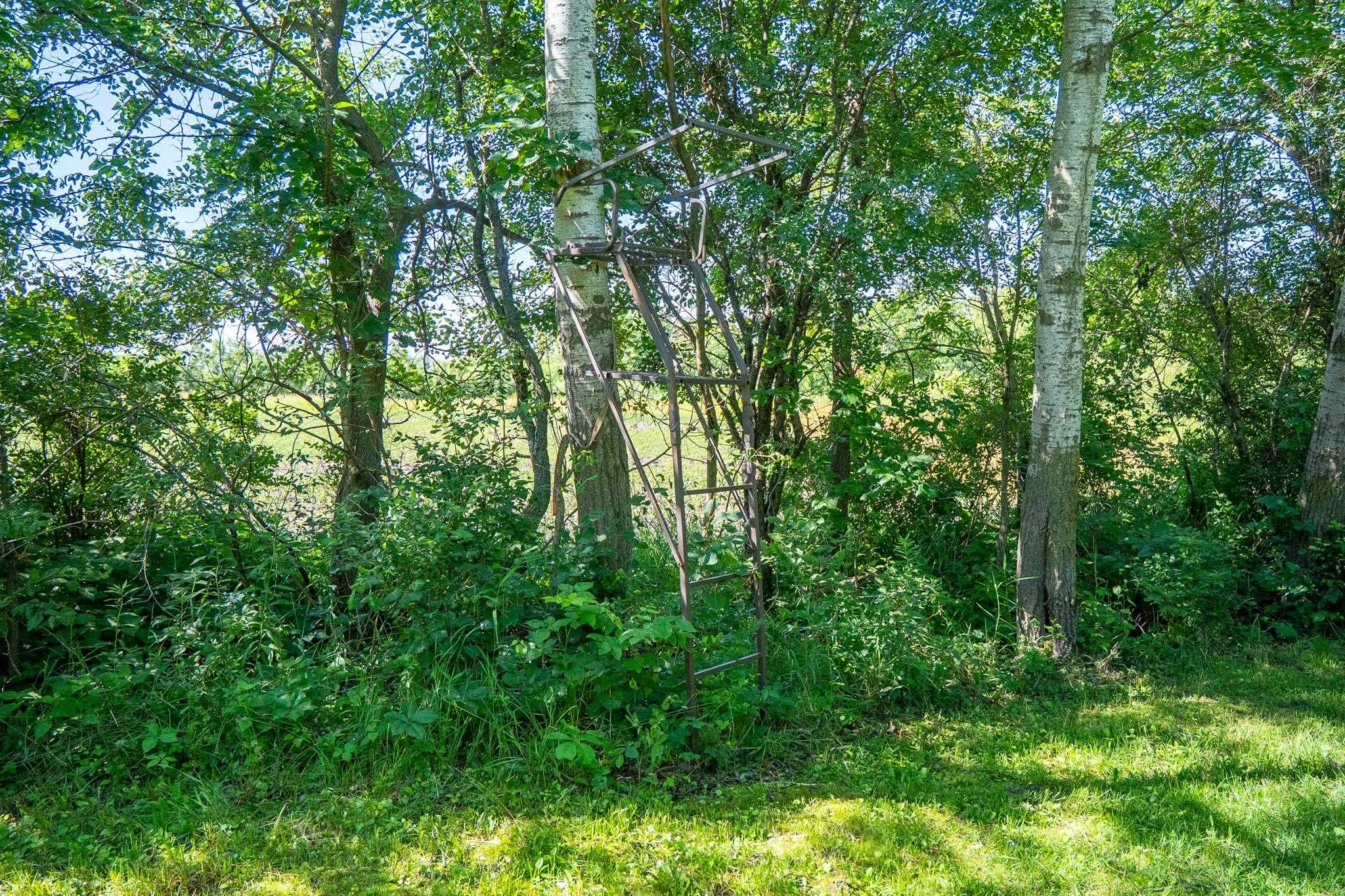 0 Inlet Road Amboy, IL 61310 - Photo 60 of 83