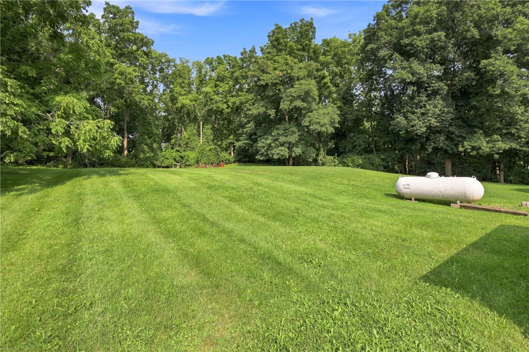 3883 Bull Farm Road Fayette, NY 13148 - Photo 32 of 45 Gallery Image 32