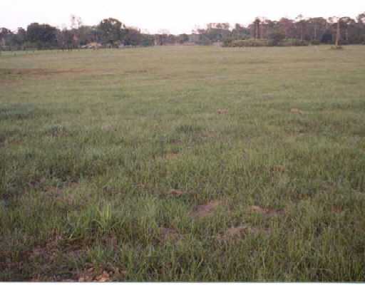 7401 Southwest Fox Brown Road Indiantown, FL 34956 - Photo 5 of 7 Additional Photo