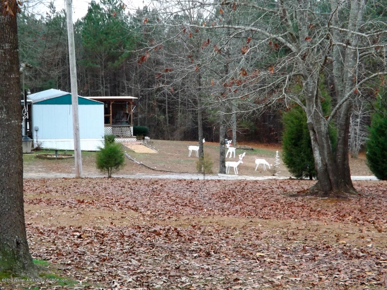 714 Arrowhead Jasper, AL 35503 - Photo 6 of 18 Gallery Image 6