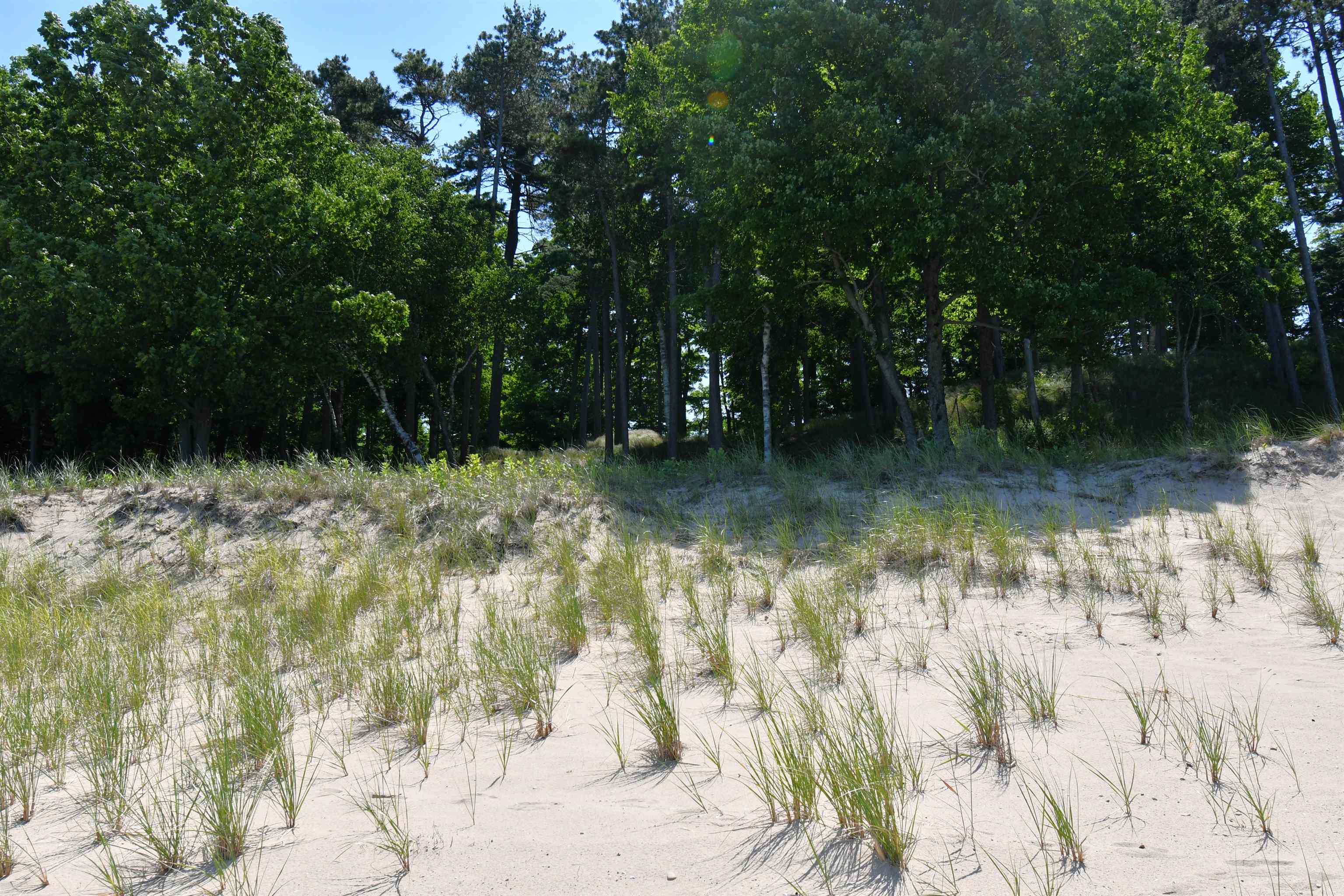 0 Mt McSauba Road Charlevoix, MI 49720 - Photo 28 of 33