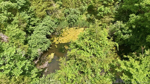East Turkey Fork Road Leavenworth, IN 47137 - Photo 2 of 8