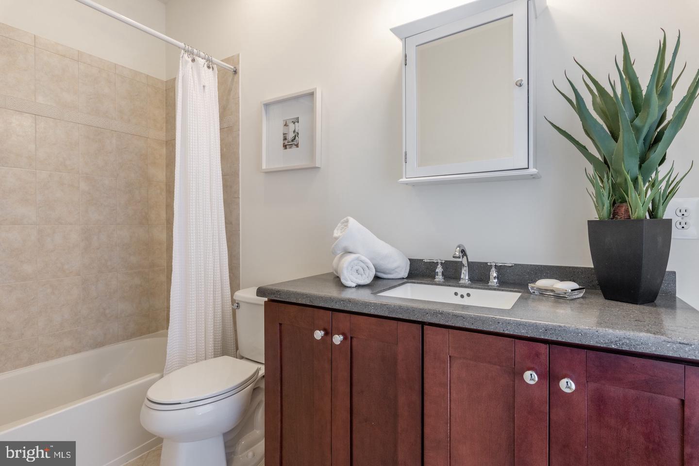 330 L Street Southeast Washington, DC 20003 - Photo 8 of 17 a bathroom with a granite countertop sink a toilet and a mirror