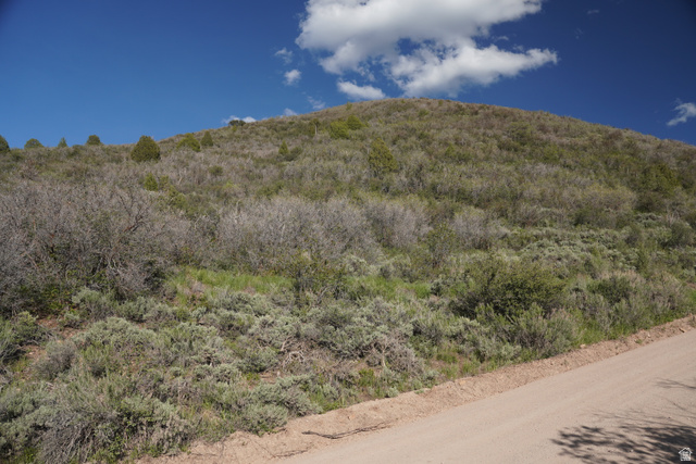 729 Splendor Valley Road, Unit 79 Kamas, UT 84036 - Photo 8 of 14