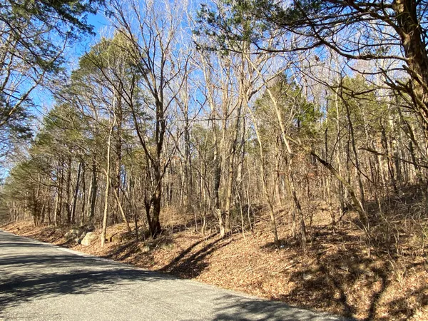 $55,000 | 0 Lowes Gap Road, Spring City, TN 37381