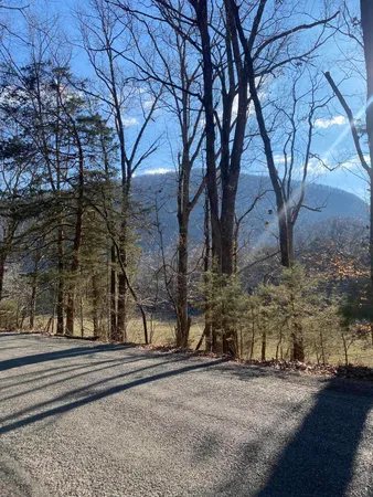 $55,000 | 0 Lowes Gap Road, Spring City, TN 37381
