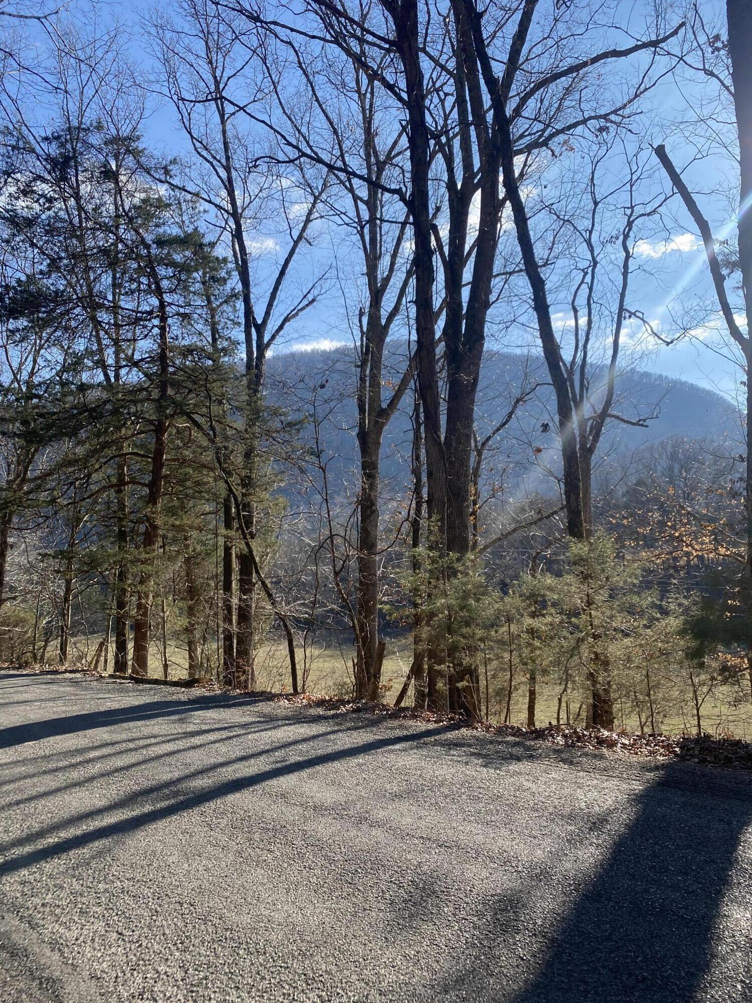 0 Lowes Gap Road Spring City, TN 37381 - Photo 2 of 5 IMG_7929