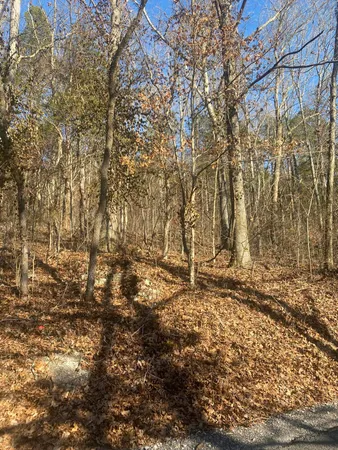 $55,000 | 0 Lowes Gap Road, Spring City, TN 37381