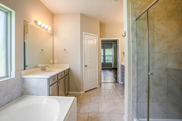 a tall tree is standing in the grass with large trees