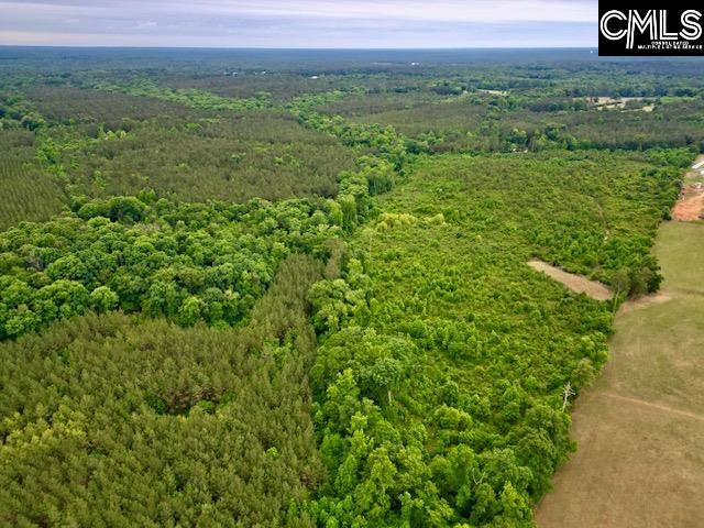 Tbd Timberlane Road Leesville, SC 29070 - Photo 2 of 8