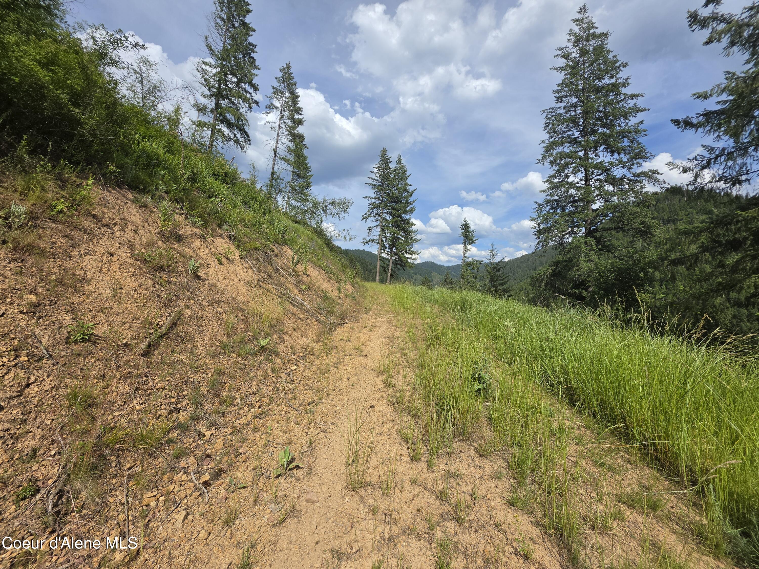 480 Dunn Peak Road Avery, ID 83802 - Photo 66 of 66 4th building site
