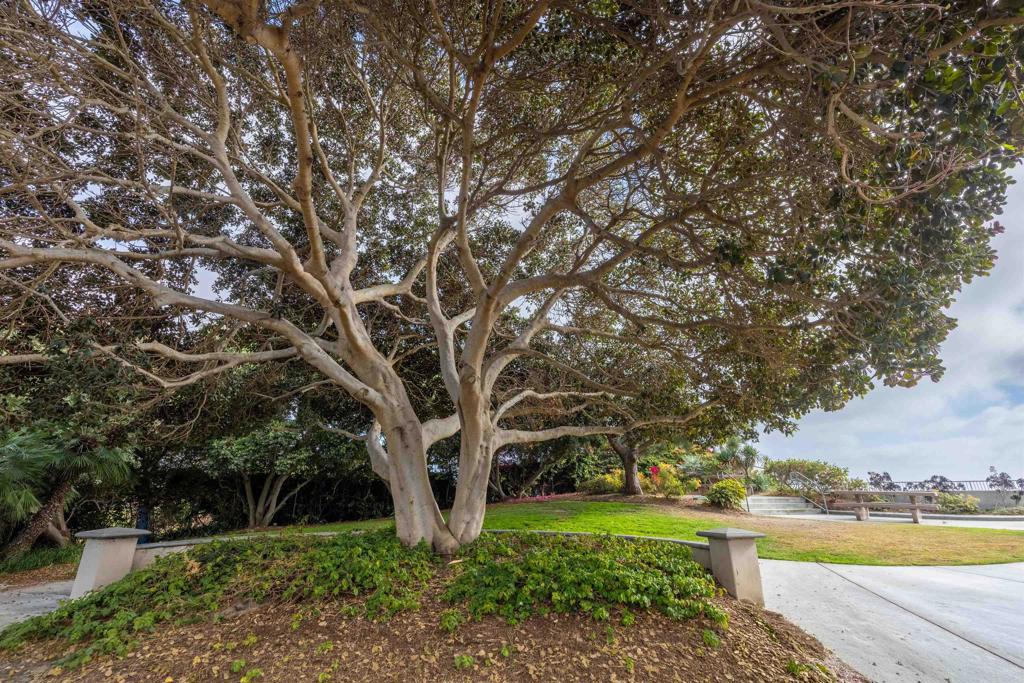 375 West I Street Encinitas, CA 92024 - Photo 57 of 65
