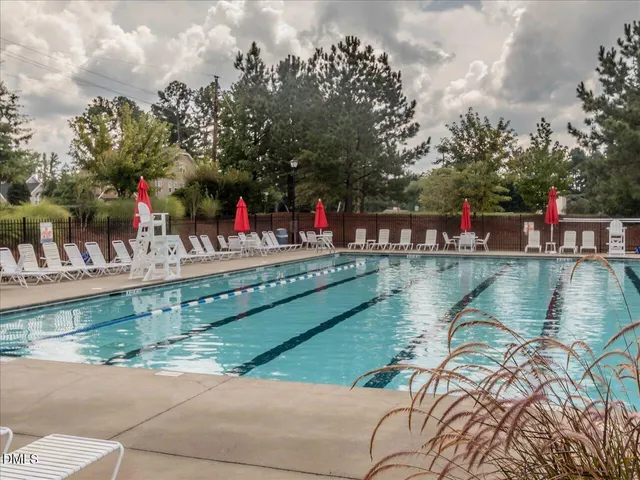 a view of a park with large trees