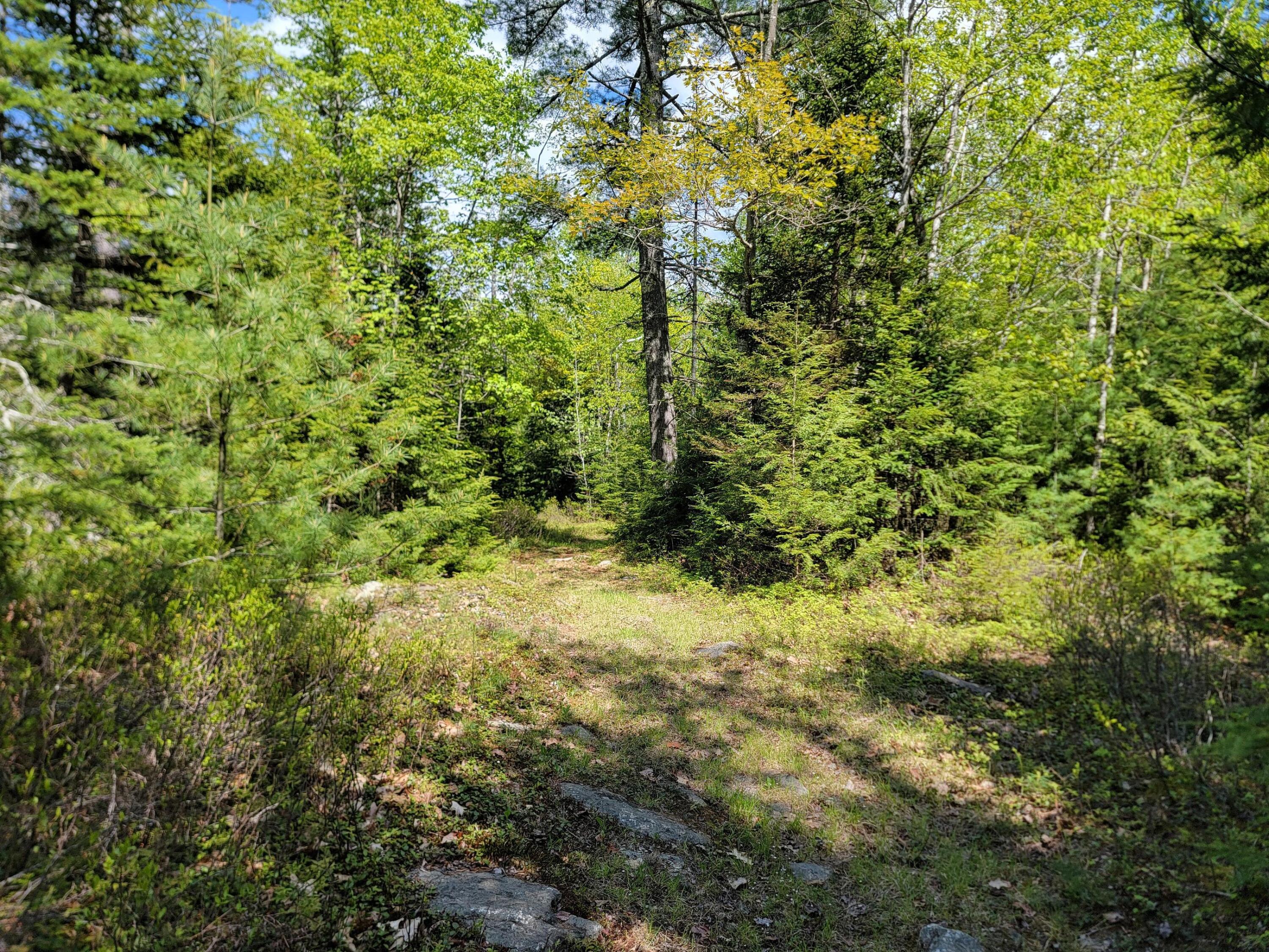 0 West Appleton Road Appleton, ME 04862 - Photo 14 of 27 jAQAe7F