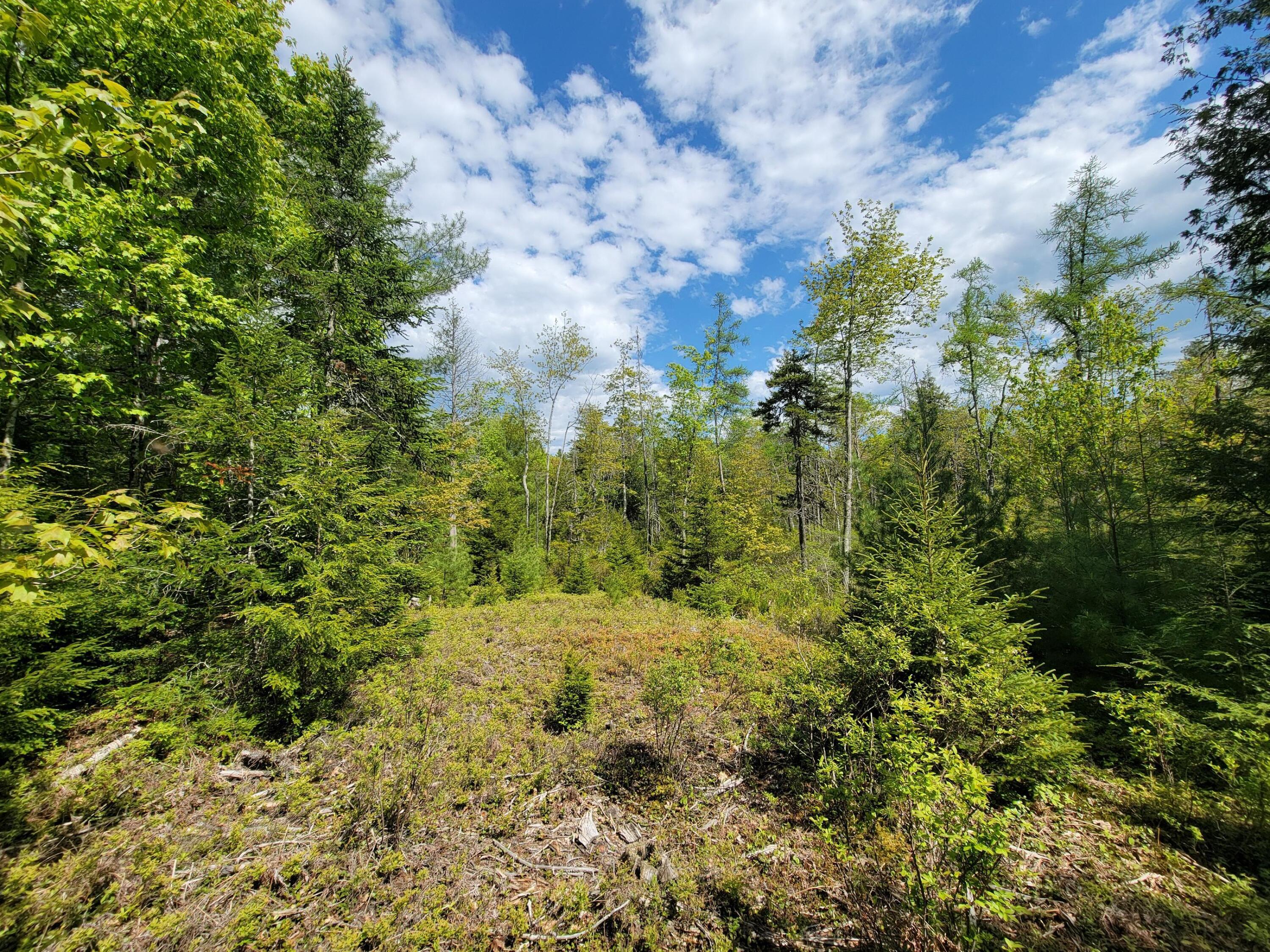 0 West Appleton Road Appleton, ME 04862 - Photo 18 of 27 vd1KBdy