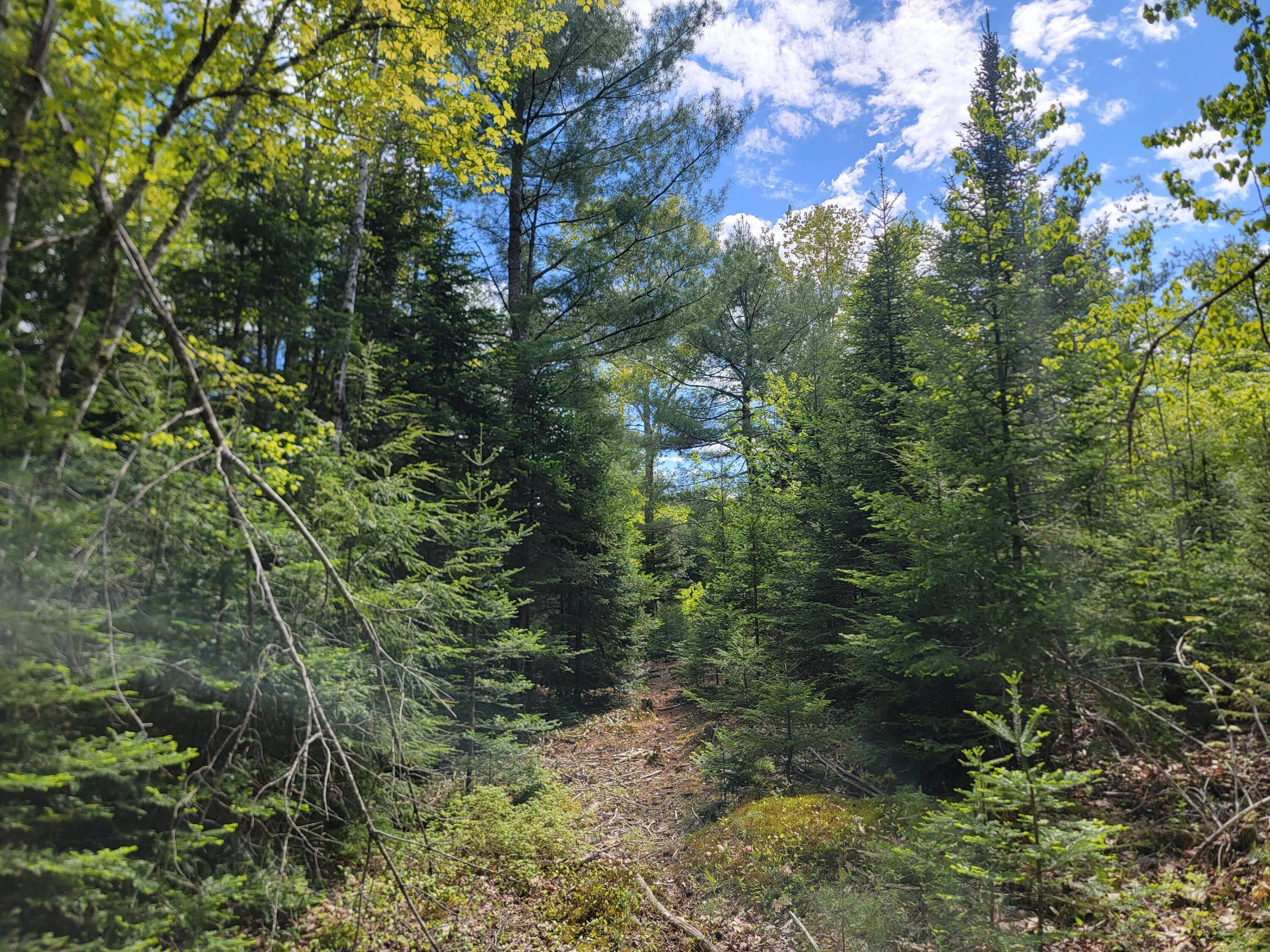 0 West Appleton Road Appleton, ME 04862 - Photo 20 of 27 4pxcUCf