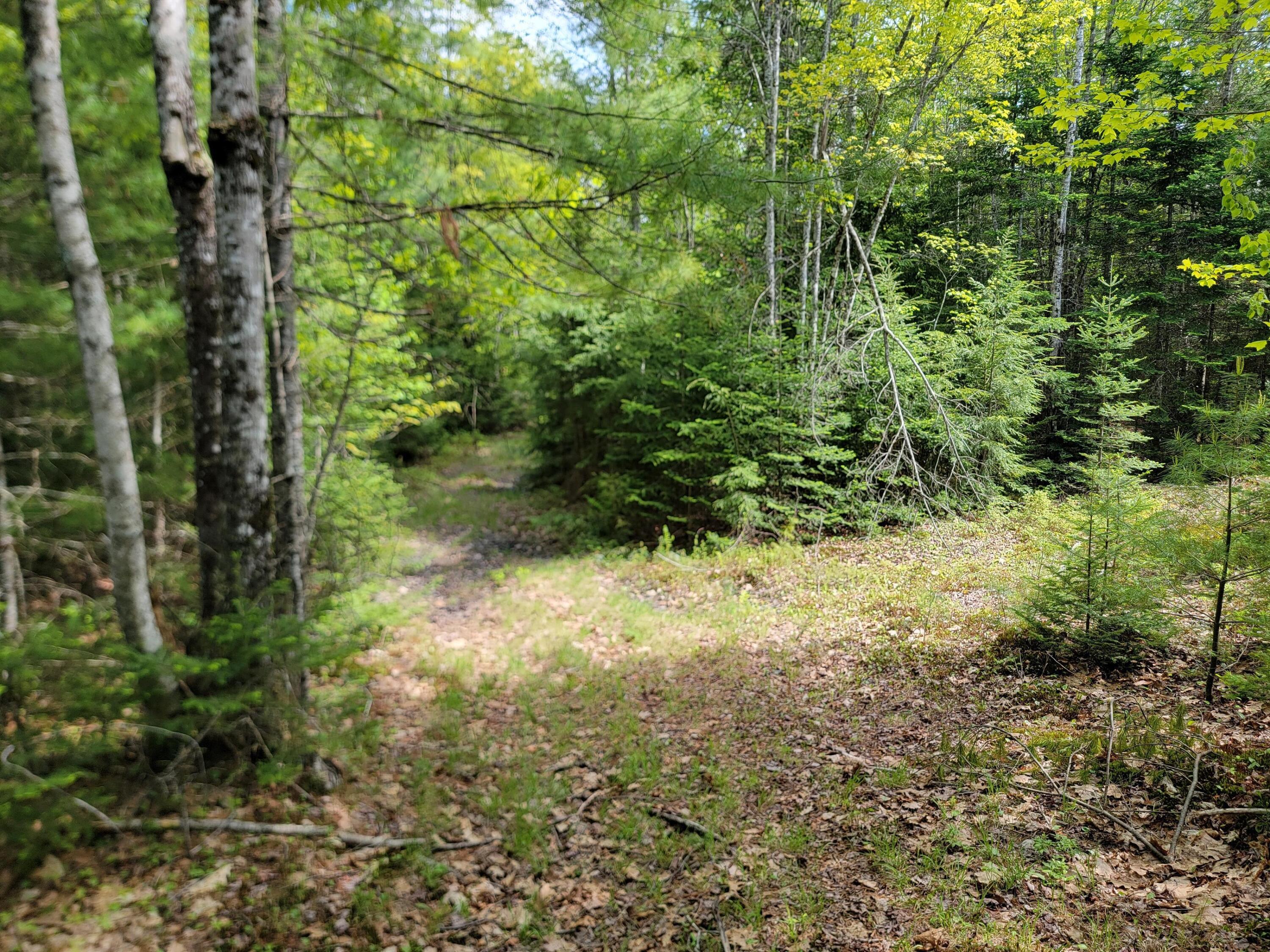 0 West Appleton Road Appleton, ME 04862 - Photo 21 of 27 MZ8WUoR