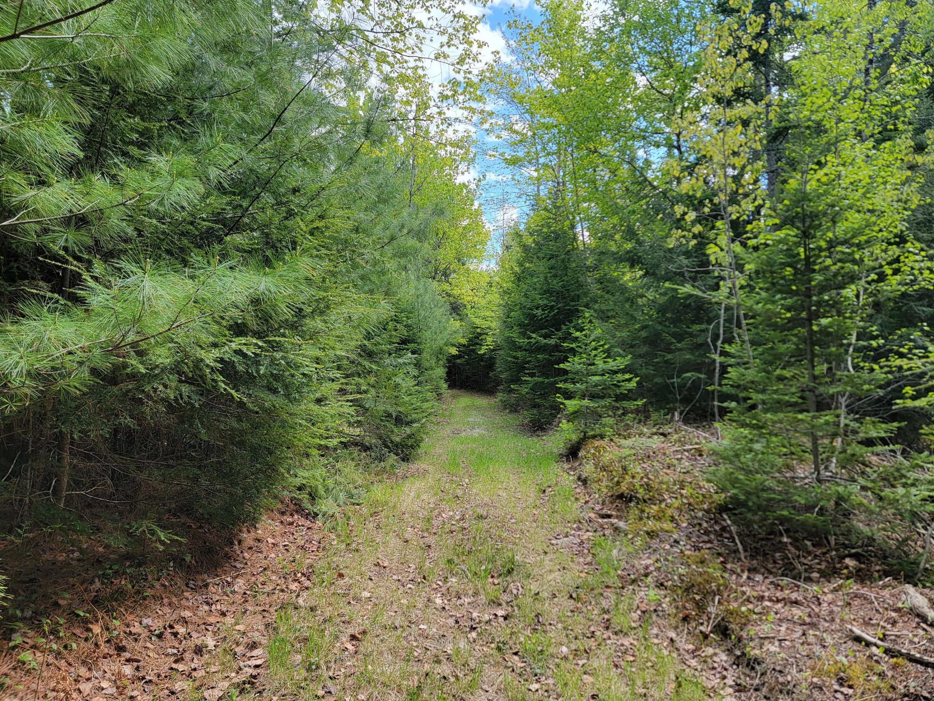 0 West Appleton Road Appleton, ME 04862 - Photo 23 of 27 5YgMyBF