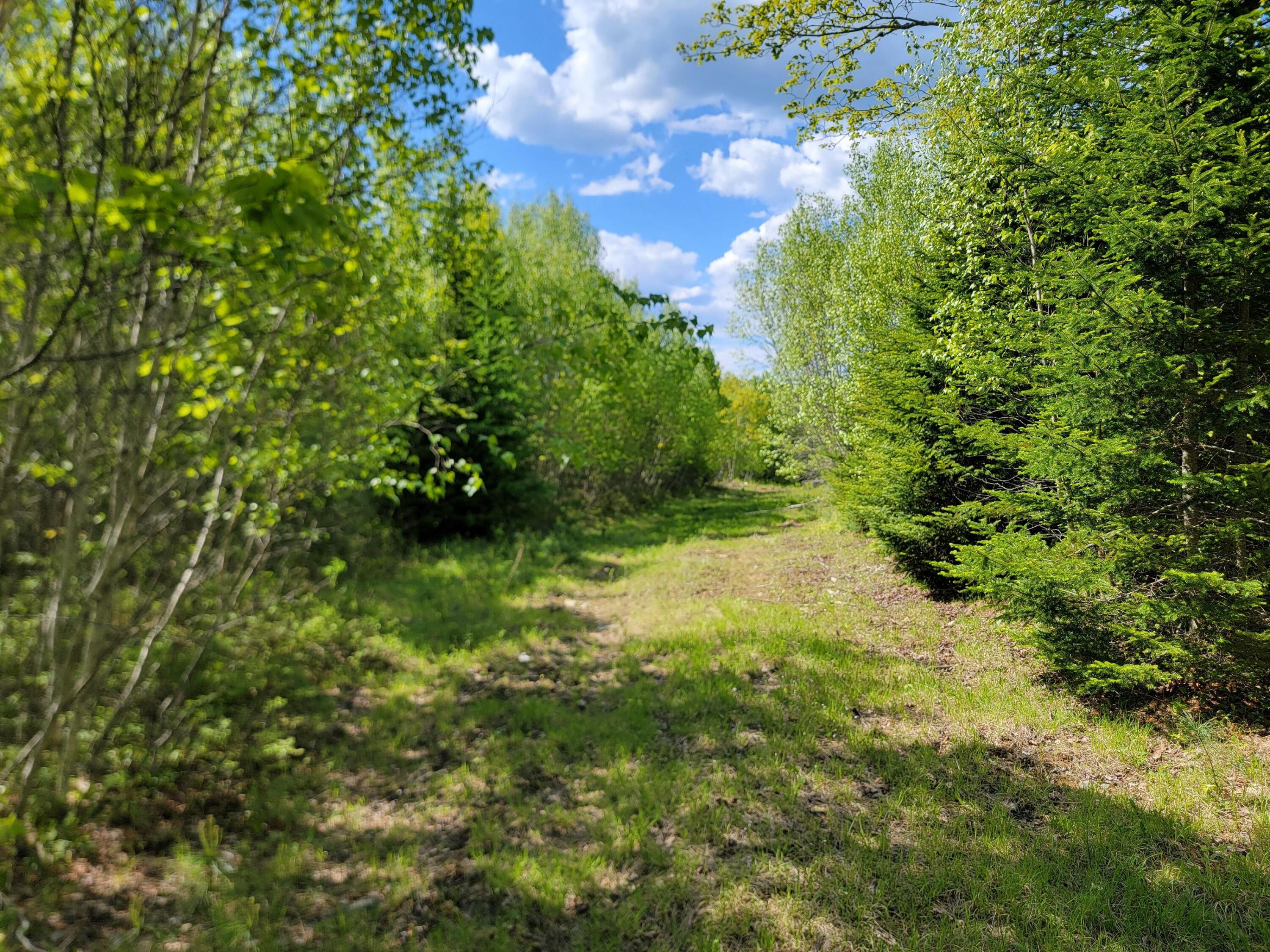 0 West Appleton Road Appleton, ME 04862 - Photo 6 of 27 Jb6OTi9