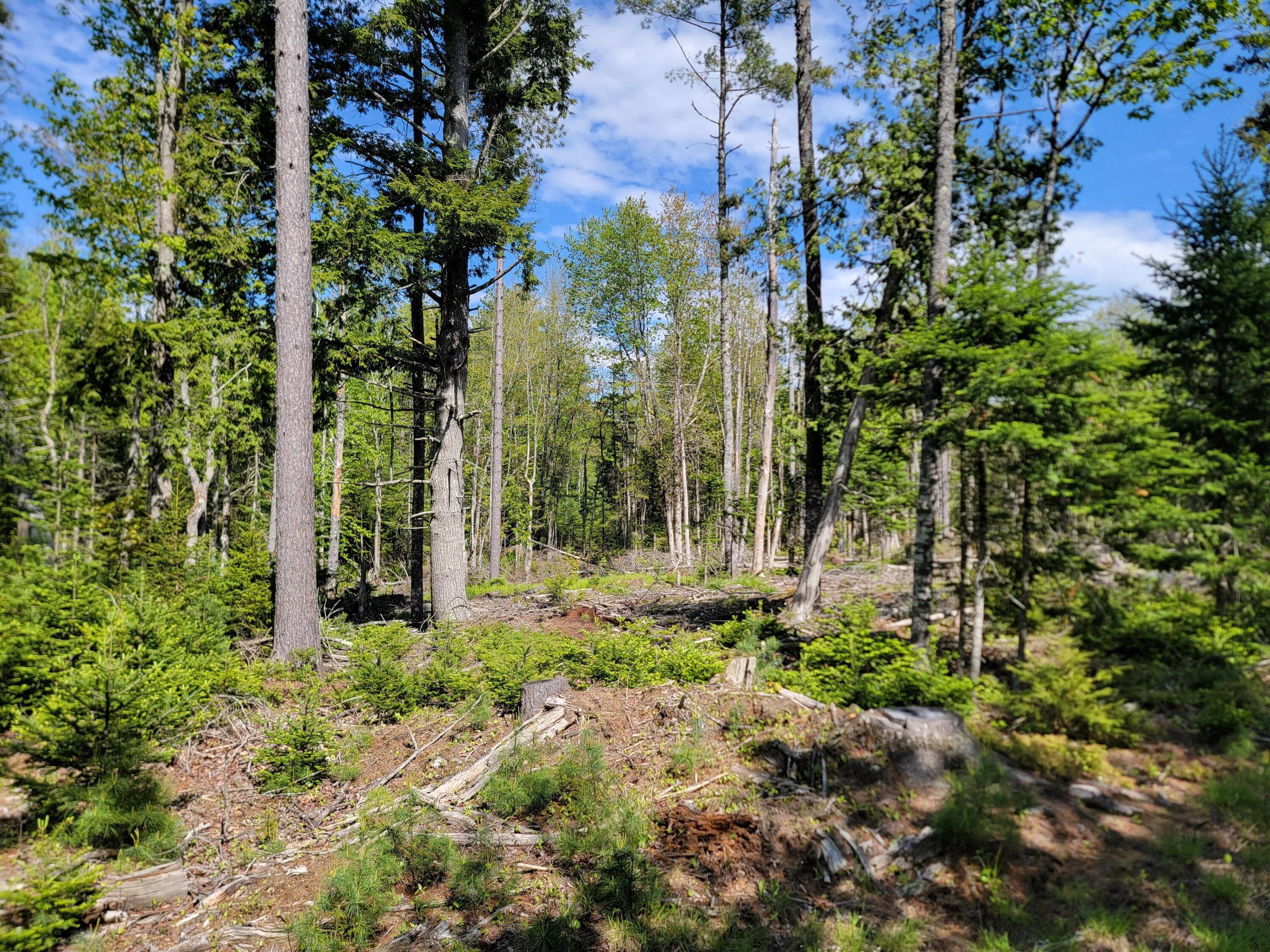 0 West Appleton Road Appleton, ME 04862 - Photo 8 of 27 2zVJQgH