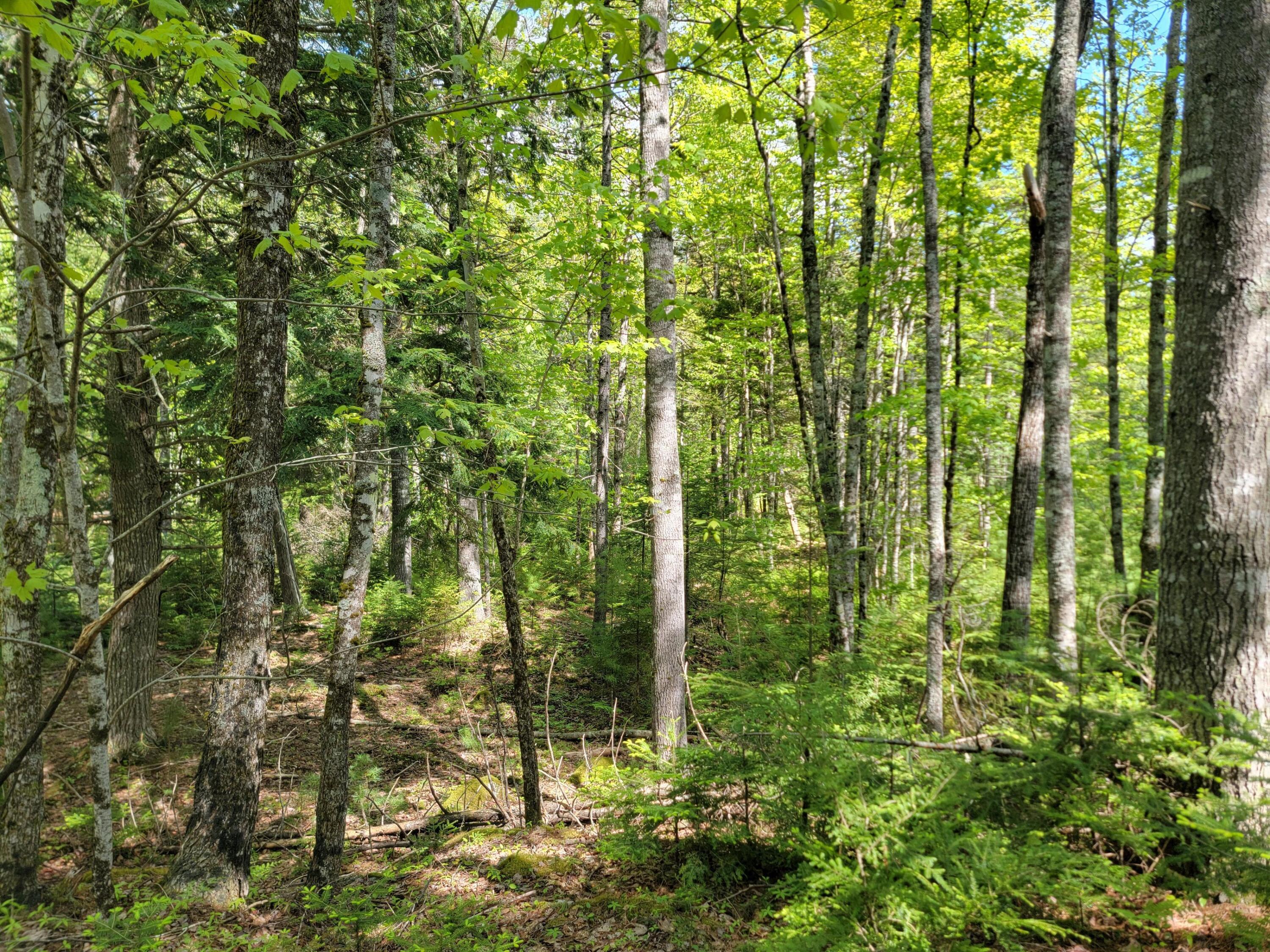 0 West Appleton Road Appleton, ME 04862 - Photo 10 of 27 JGxCT6E