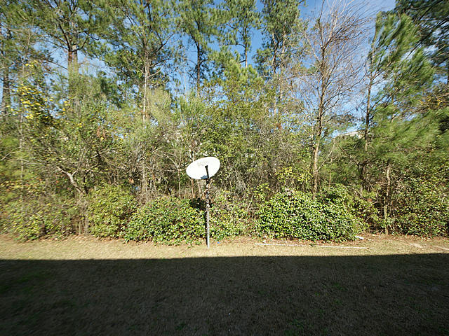 438 Doane Way Wando, SC 29492 - Photo 25 of 25 24