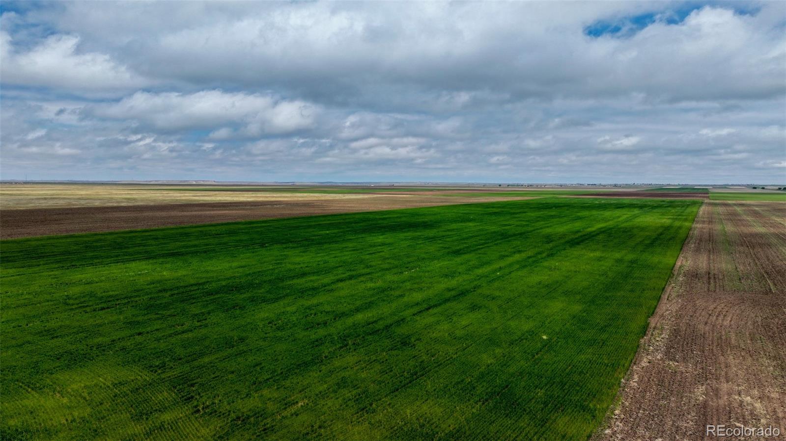 Tbd Grover, CO 80729 - Photo 2 of 23 a view of yard with swimming pool and green space