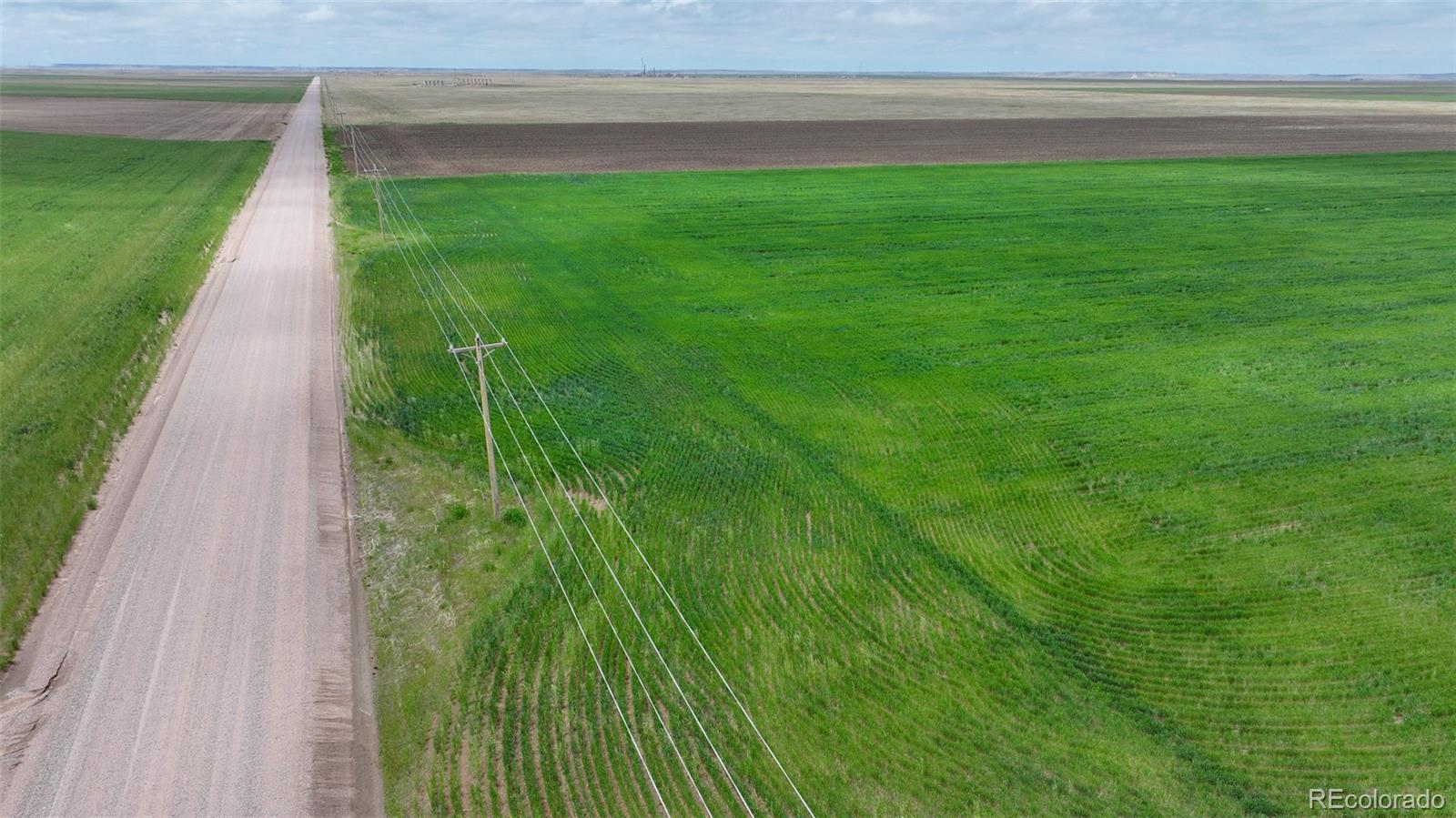 Tbd Grover, CO 80729 - Photo 6 of 23 a backyard of a house with lots of green space and plants