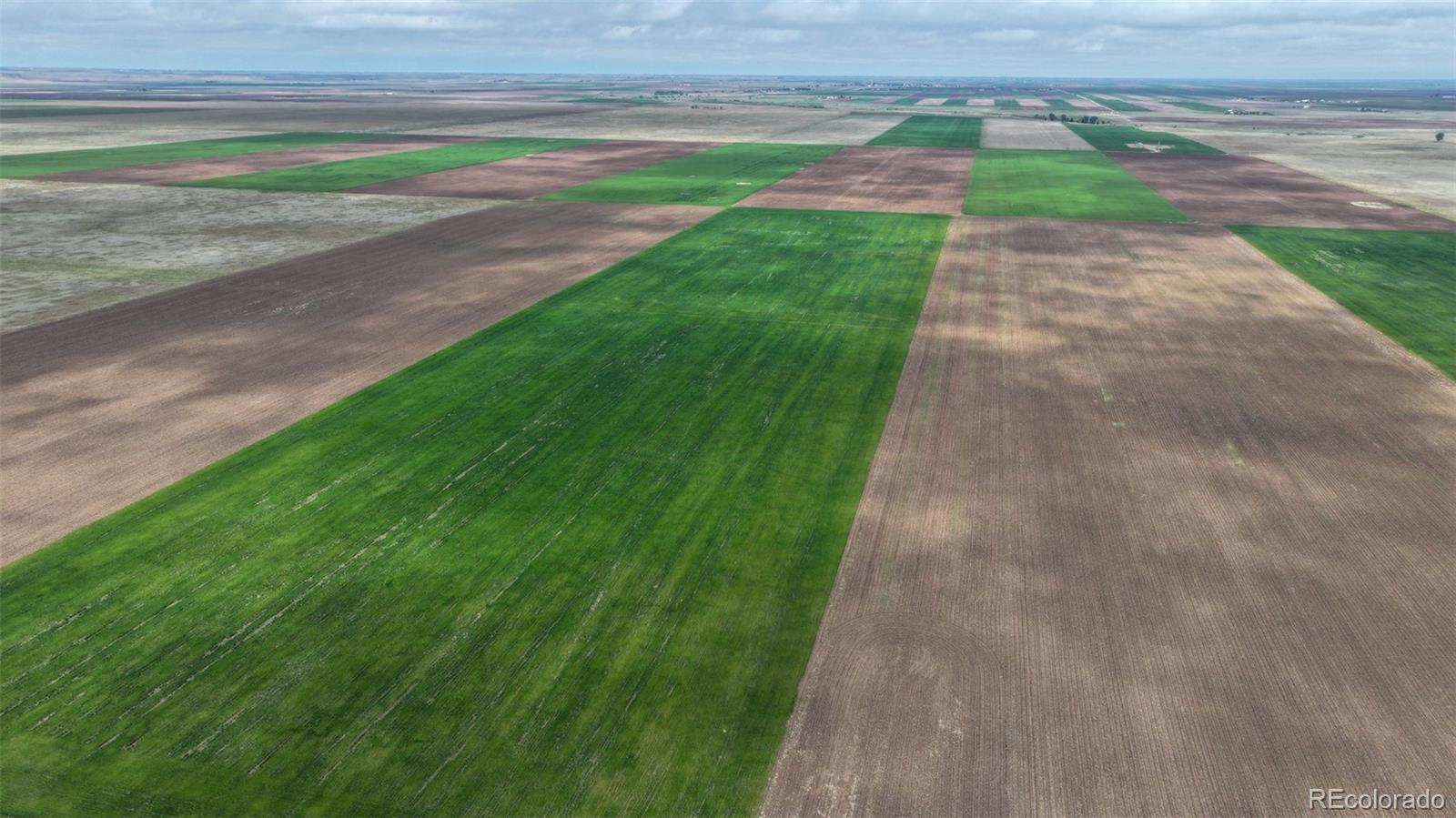 Tbd Grover, CO 80729 - Photo 7 of 23 a view of a garden with a pathway