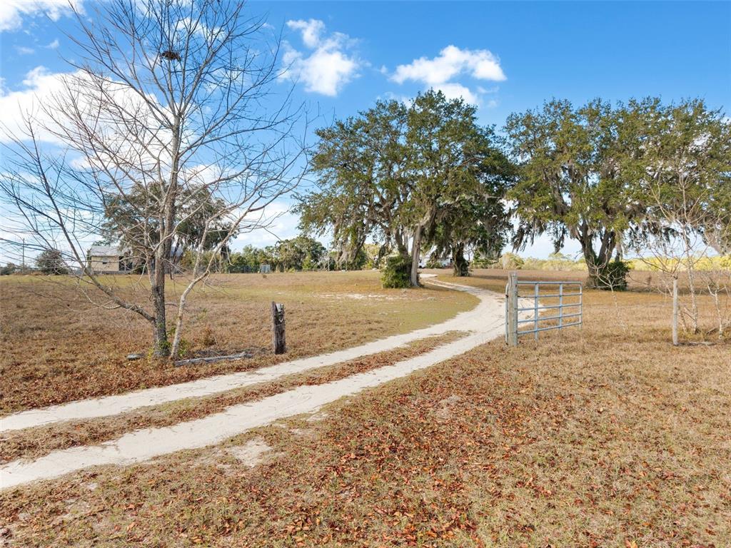 11406 Southwest 274 Street Newberry, FL 32669 - Photo 8 of 14 a view of a yard with trees