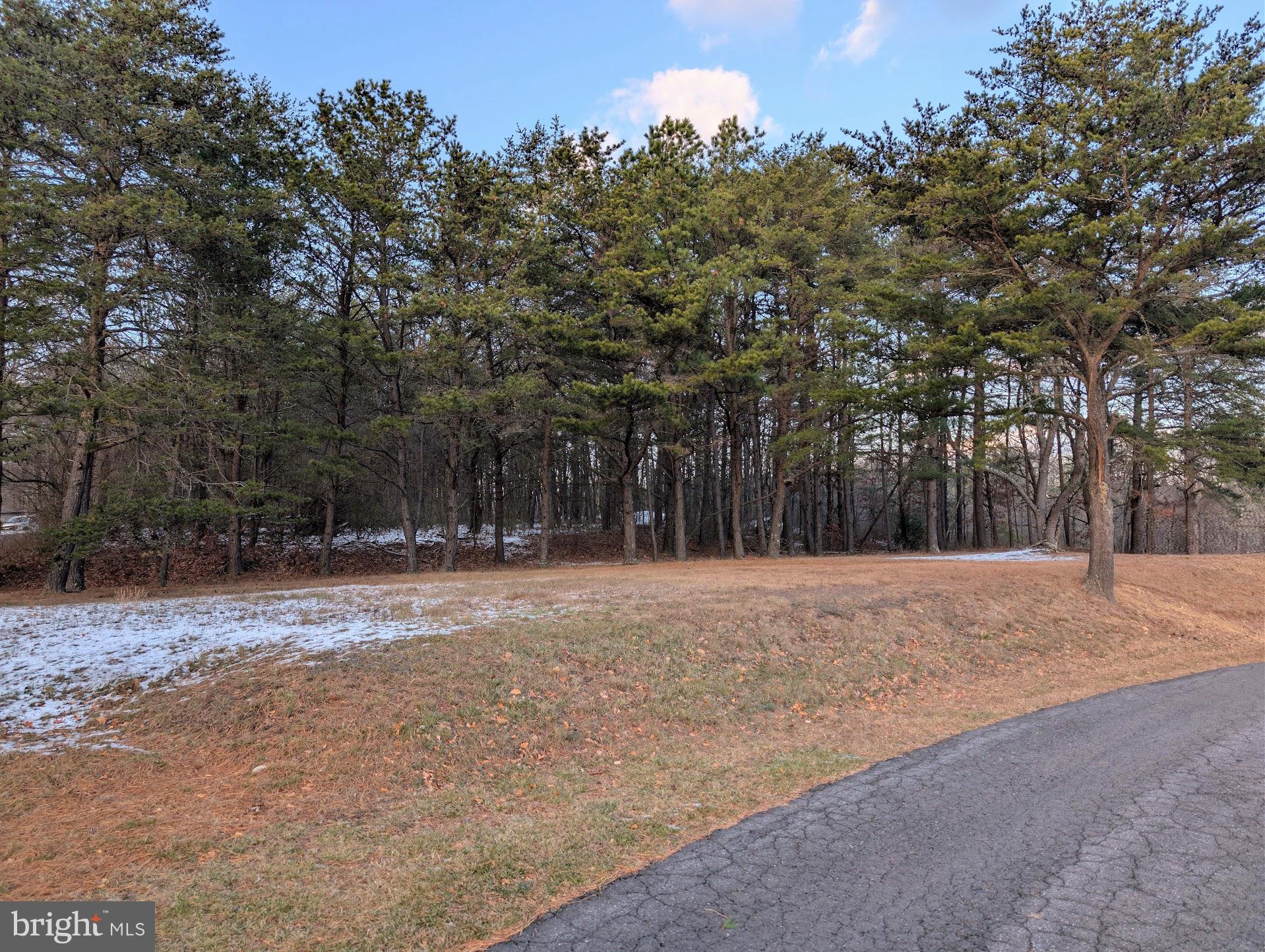 X South River Lane Everett, PA 15537 - Photo 5 of 16 a backyard of a house with trees