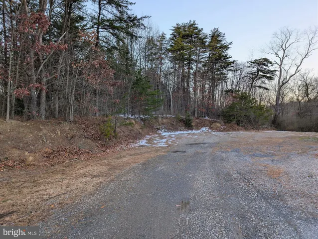 a view of outdoor space with lots of trees
