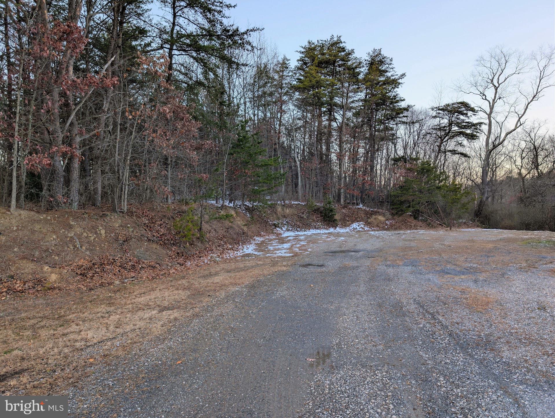X South River Lane Everett, PA 15537 - Photo 7 of 16 a view of a forest with trees in the background
