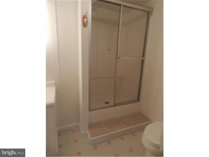 2862 Gun And Rod Club Road Houston, DE 19954 - Photo 8 of 25 Master Bathroom