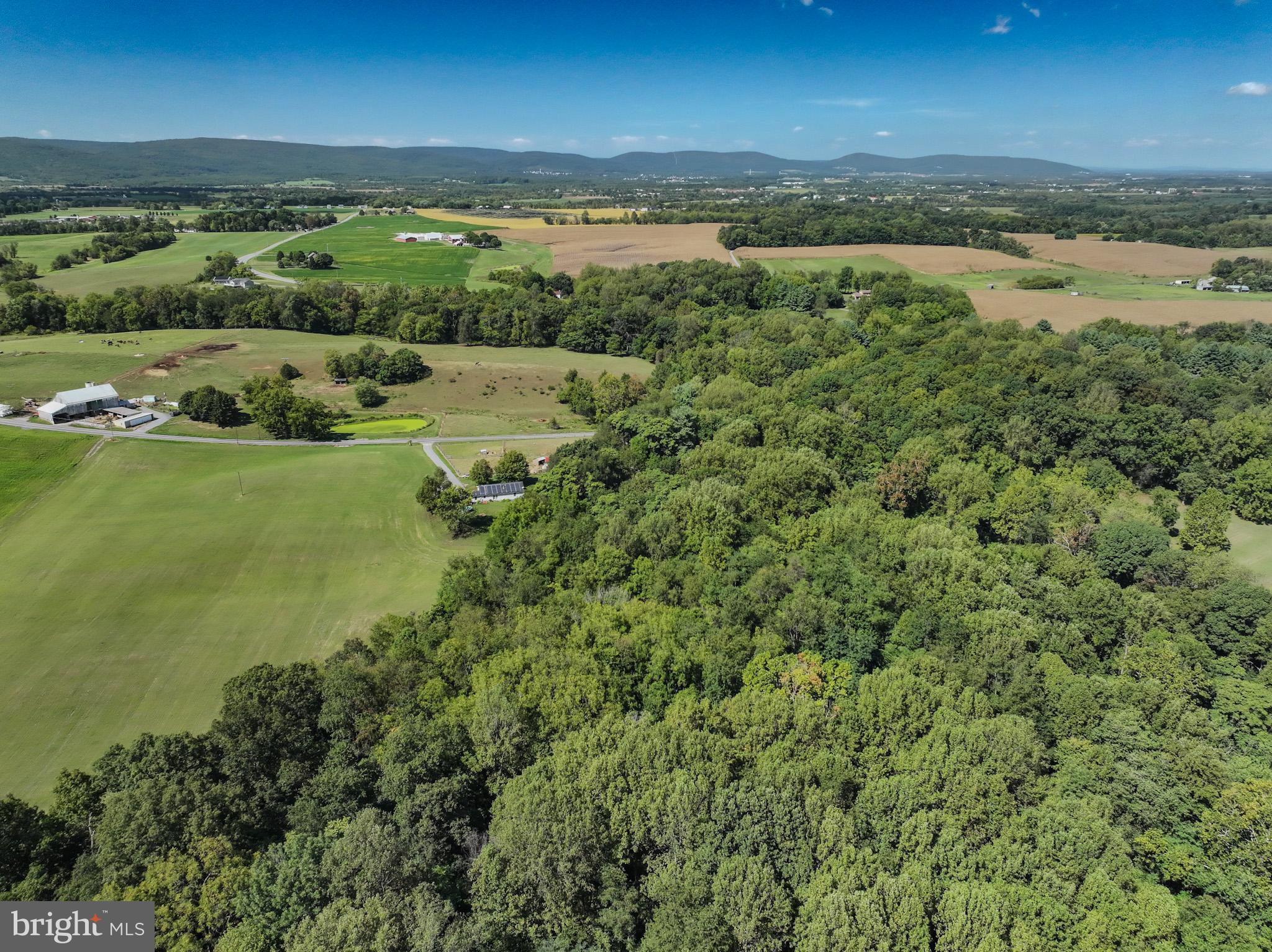 8749 Ramsburg Road Thurmont, MD 21788 - Photo 7 of 61